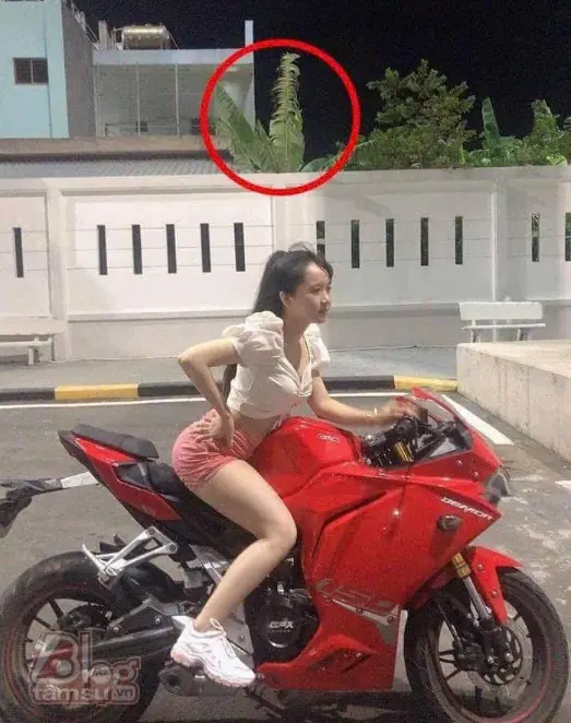 คุณต้องสังเกตอย่างละเอียดเพื่อให้รู้ด้วยตัวเอง