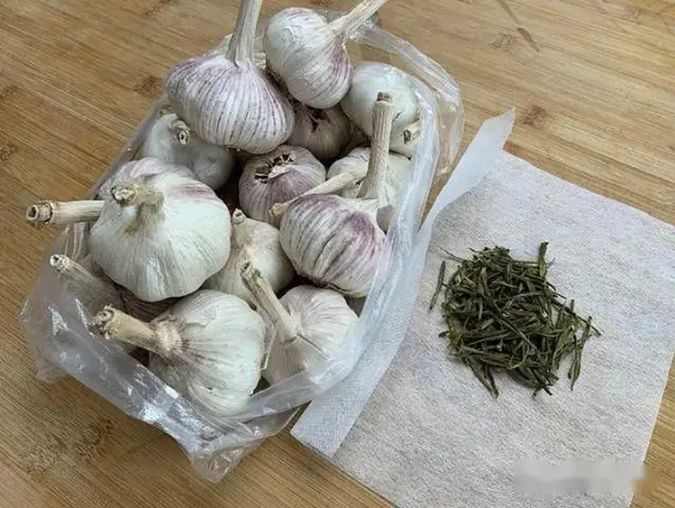 เชฟเผยเคล็ดลับเก็บรักษากระเทียมโดยไม่ต้องใช้ตู้เย็น ให้สดได้นานครึ่งปี