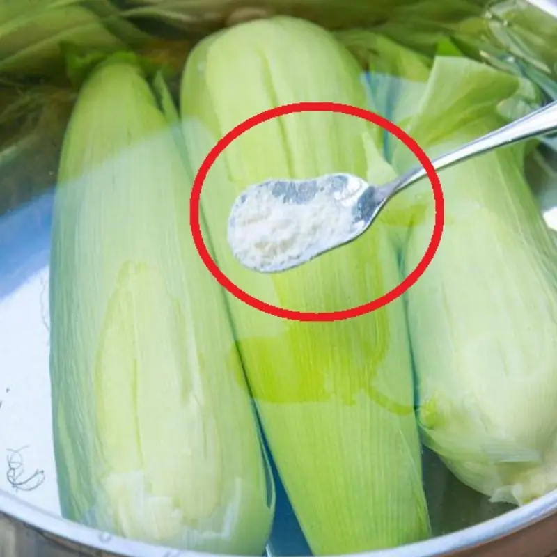 เคล็ดลับต้มข้าวโพดให้อร่อยและหนึบ ที่หลายคนไม่รู้