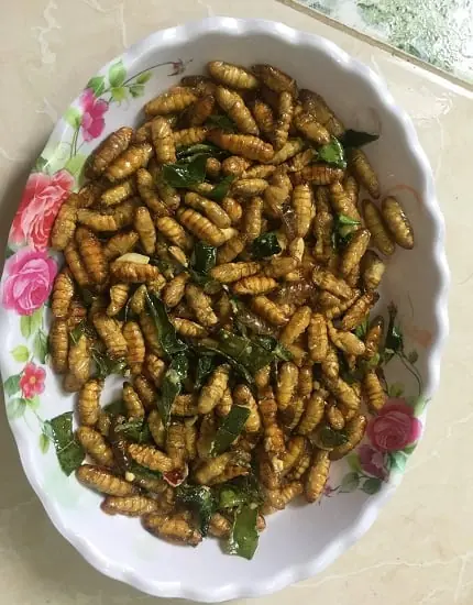 อาหาร ‘ของโปรด’ ที่อาจแฝงพยาธิทำลายตั.บยังมีคนไทยกินโดยไม่รู้ตัว