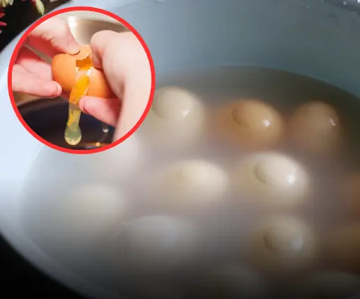 8 วิธีเก็บไข่ โดยไม่ต้องแช่ตู้เย็น แต่ยังสดใหม่ได้ทั้งเดือน ประหยัดเงินได้อีกเพียบ!