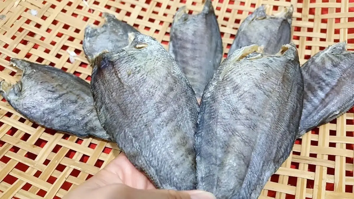 ระวังปลาราคาถูก 3 ชนิด ที่มีสารพิษอันตรายมากมาย