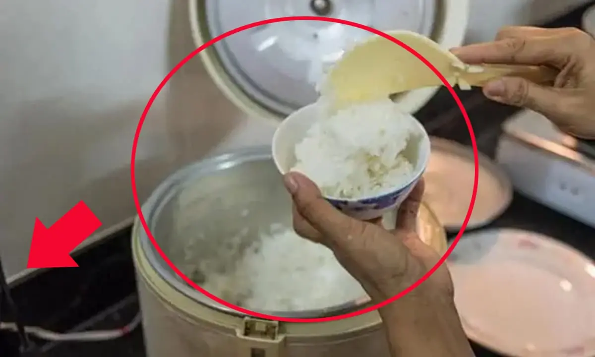 แน่นอนว่าไม่มีใครกล้าต้มน้ำอุ่นหรืออุ่นข้าวเย็นใหม่เพื่อกินอีกถ้ารู้ความจริงอันน่ากลั