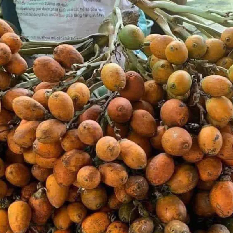 แพทย์เตือน! ผลไม้ 4 ชนิดนี้อาจกระตุ้นเซลล์ม.ะ.เ.ร็.งได้ กินบ่อยเกินไปอาจเป็นอันตราย