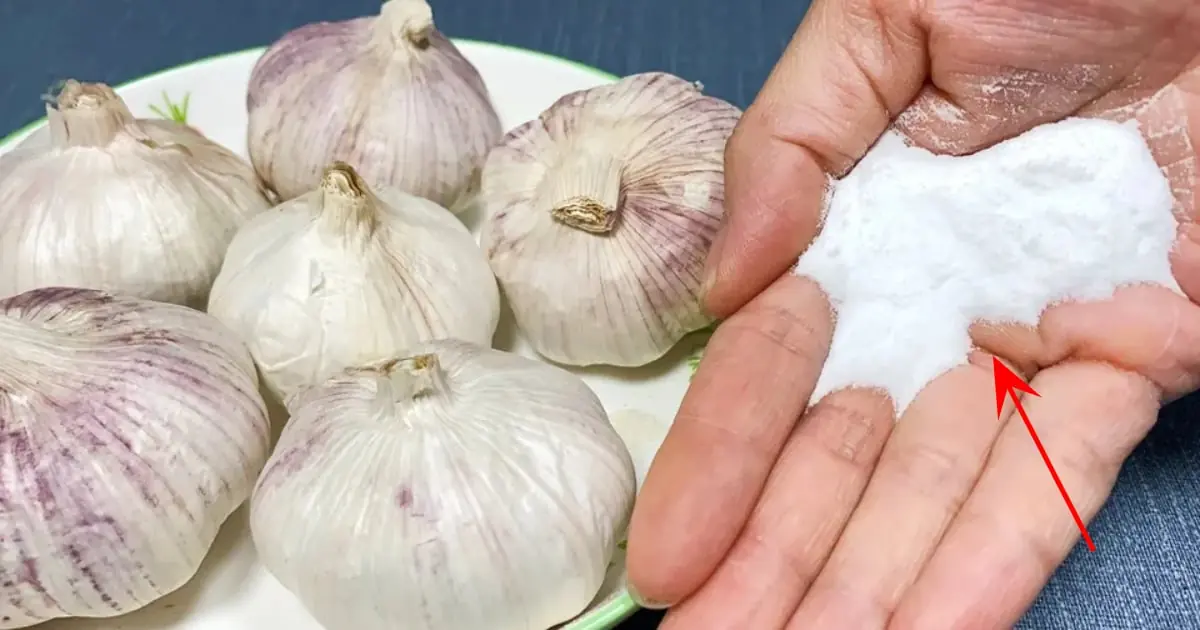 หากต้องการเก็บรักษากระเทียมไว้เป็นเวลานาน โปรดดูเคล็ดลับด้านล่าง