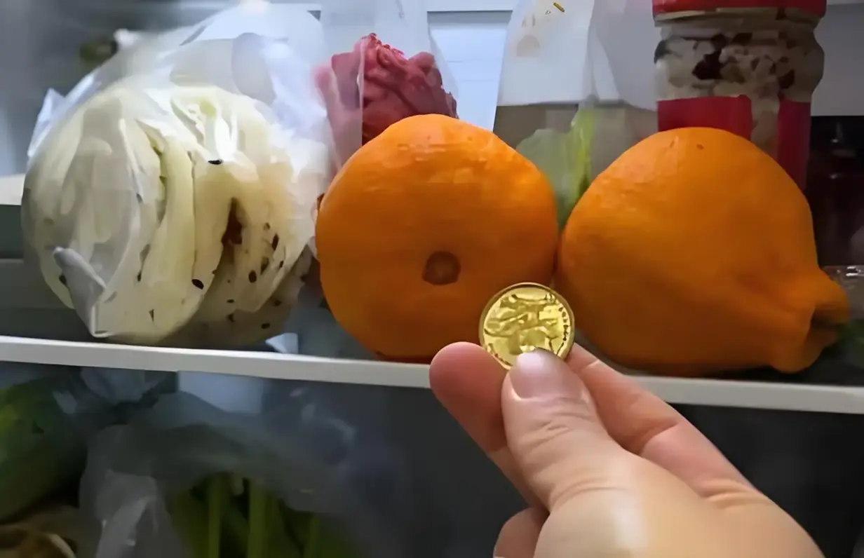 ทำไมคุณควรเก็บเหรียญไว้ในตู้เย็นเมื่อเดินทาง?