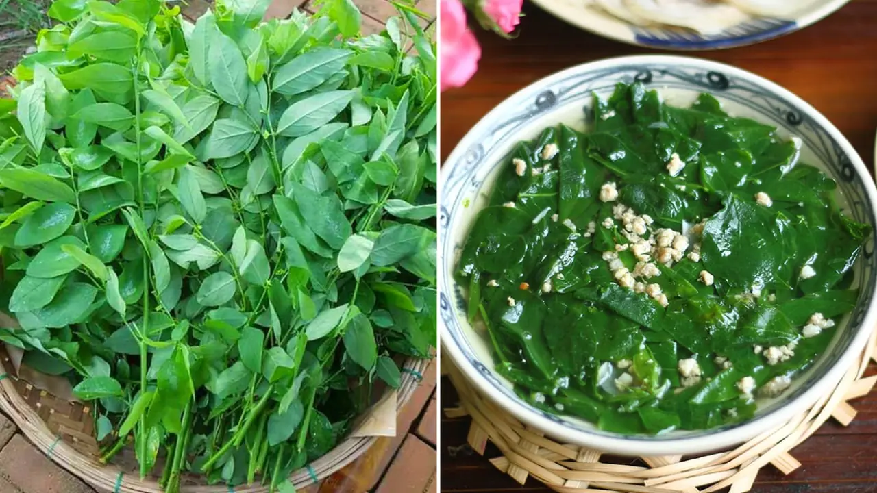 นึกว่าเนื้อวัวเป็น “ร.า.ช.าแห่งธาตุเหล็ก” ที่แท้ก็ยังสู้ผักที่ปลูกไว้เต็มมุมสวนไม่ได้ ปลู