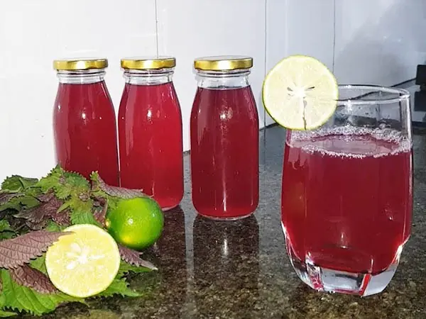 ผู้หญิงดื่มน้ำใบโหระพาแดงผสมมะนาวใน 3 ช่วงเวลานี้ ผิวขาวกระจ่างใส เอวเล็กเห็นได้ชัด