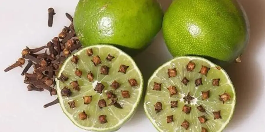 เอาสิ่งนี้ปักลงในลูกมะนาวแล้ววางไว้ตามมุมบ้าน ยุงจะหนีหายไม่กลับมาอีก