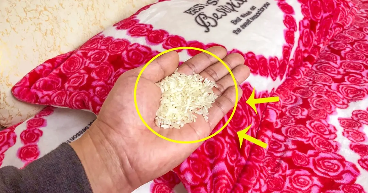 ใส่ข้าวไว้ใต้หมอนตอนนอน ประโยชน์เกินคาด! ช่วยแก้ปัญหาสุขภาพที่ทั้งชายและหญิงควรรู้