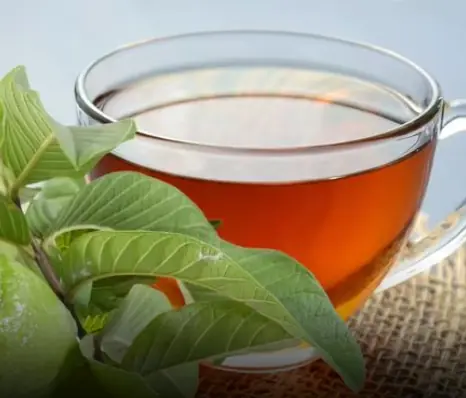 ใบไม้ที่เป็น "ศัตรู" ของโรคเบาหวานและไขมันในเลือดสูง