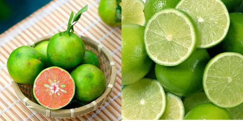 มะนาวดองกับมะนาวธรรมดา แบบไหนดีกว่าต่อสุขภาพ? หลายคนยังเข้าใจผิดเกี่ยวกับผลไม้สองชนิดนี