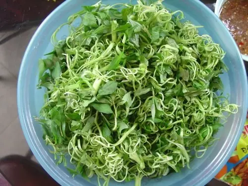 ระวัง! กินผักบุ้งดิบบ่อย ๆ อาจเป็นอันตรายกว่าที่คิด