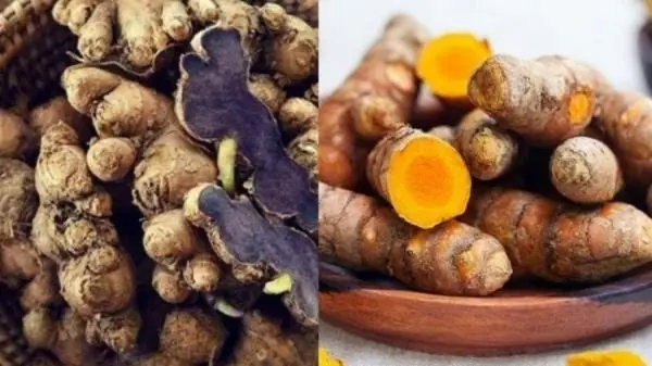 ขมิ้นดำกับขมิ้นชัน แบบไหนดีกว่ากัน?