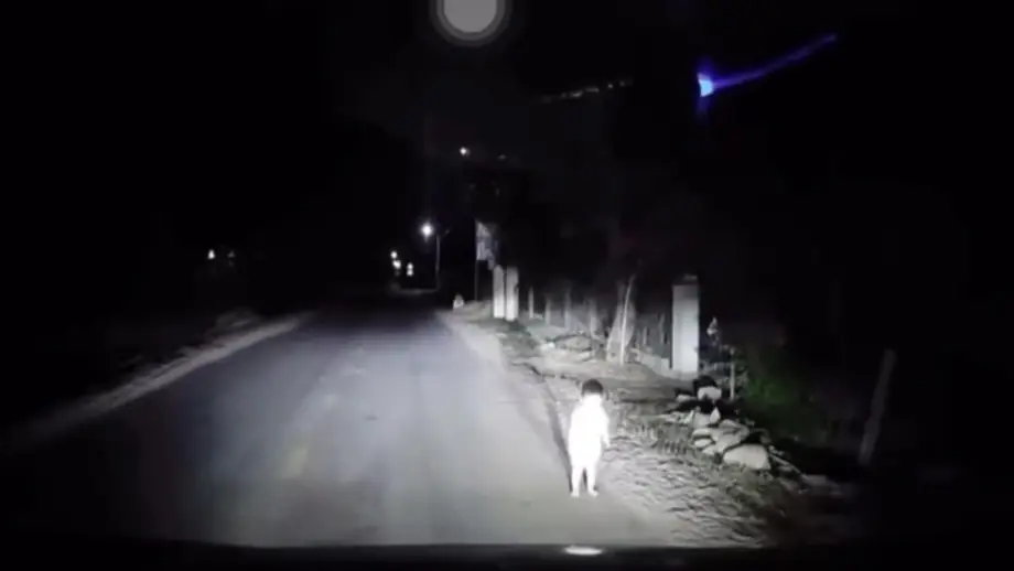 พบเด็กทารกนั่งอยู่ข้างทางในที่เปลี่ยว—คนขับมือเก๋าเตือนภัยถึงทุกคน