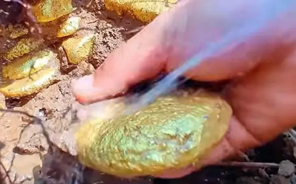 นักวิชาการคาดการณ์ว่า บ้านและเงินสดอาจสูญเสียมูลค่าในอีก 10 ปีข้างหน้า แต่ 6 สิ่งต่อไปนี้จะ