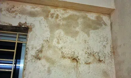 ฝนตกบ่อย ผนังบ้านเพดานชื้น มีคราบน้ำรั่วซึม? รีบแก้แบบนี้ก่อนจะกลายเป็นเชื้อรา!