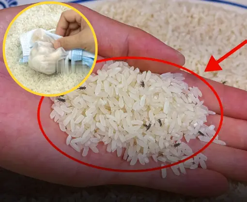 ข้าวมีมอดไม่ต้องตากแดด! เจ้าของร้านข้าวเผยเคล็ดลับเก็บข้าวไม่ให้มีมอดตลอดทั้งปี