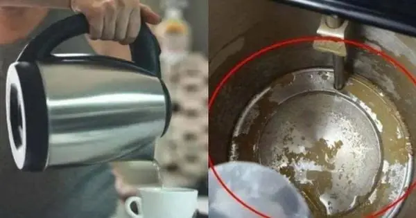 ขอแสดงความเสียใจกับคนที่ใช้กาต้มน้ำไฟฟ้า 4 รุ่นนี้ รีบทิ้งก่อนจะสาย! หลายพันคนป่วยเป็นมะเ