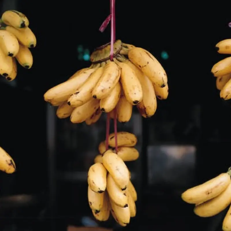 กล้วย 4 แบบนี้ เจอในตลาดให้เลี่ยงทันที แม้ลดราคาก็ไม่ควรซื้อ