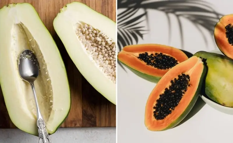 ความจริงของการกินมะละกอดิบและมะละกอสุก ความลับที่หลายคนไม่เคยรู้