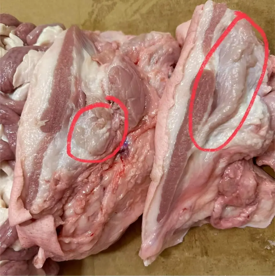 3 ส่วนของหมูที่เต็มไปด้วยสารพิ.ษและแบคทีเรีย ราคาถูกแค่ไหนก็อย่าซื้อ