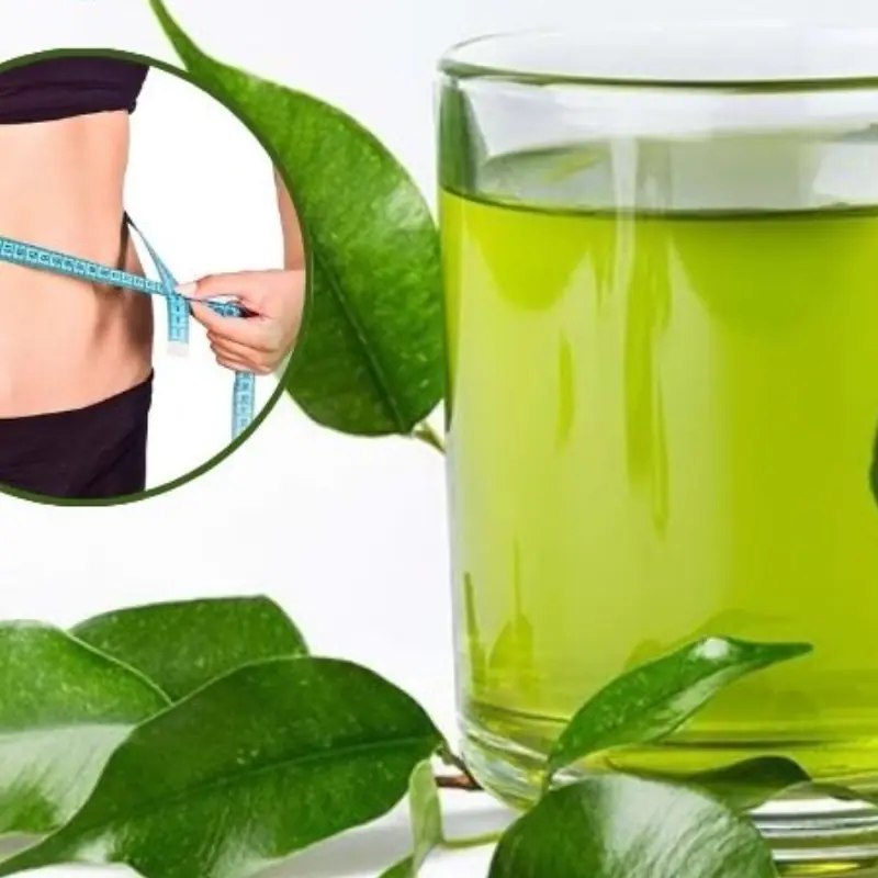 4 ประโยชน์น่าทึ่งของ “น้ำต้มใบมะเดื่อ” เครื่องดื่มสมุนไพรธรรมชาติที่คนไทยมักมองข้าม