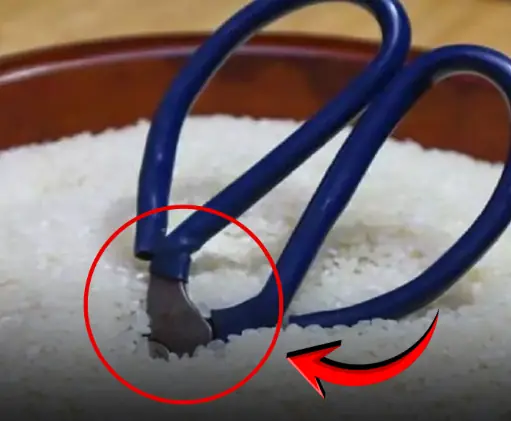 แทงกรรไกรลงในถังข้าว เคล็ด(ไม่)ลับจากคนโบราณ ประโยชน์เพียบทั้งในเชิงวิทย์และความเชื่อ!