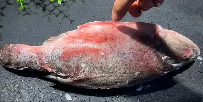 การละลายน้ำแข็งปลาไม่ควรแช่ในน้ำ มีอีกวิธีหนึ่งที่สามารถละลายน้ำแข็งได้ภายในไม่กี่นาท