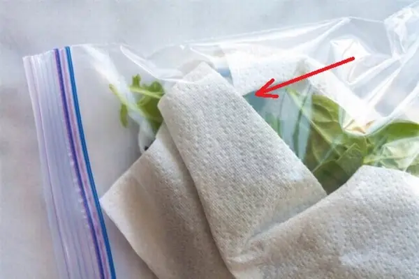 อยากเก็บผักให้ได้ทั้งเดือน ต้องมีเคล็ดลับนี้เลย!