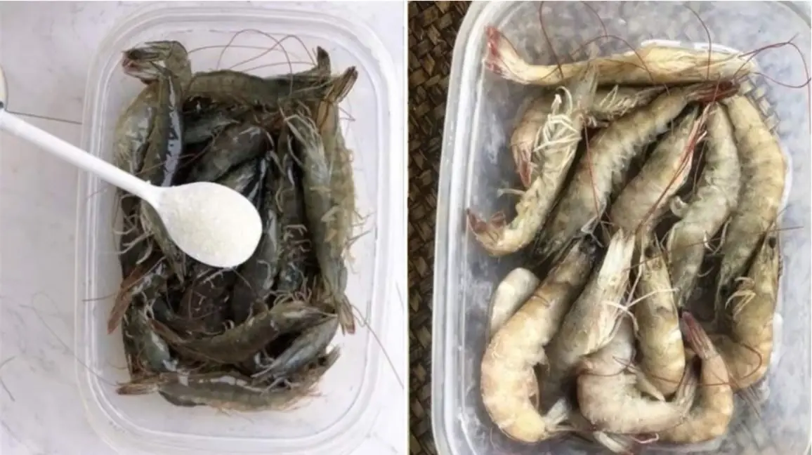 ถ้าอยากเก็บกุ้งให้นานโดยไม่เสียรส ลองดูเคล็ดลับพวกนี้สิ!