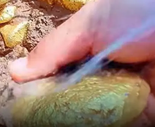 อีก 10 ปีข้างหน้า “บ้าน” และ “เงินสด” จะหมดค่าลง แต่ 6 สิ่งนี้จะกลายเป็นขุมทรัพย์แห่งอนาคต