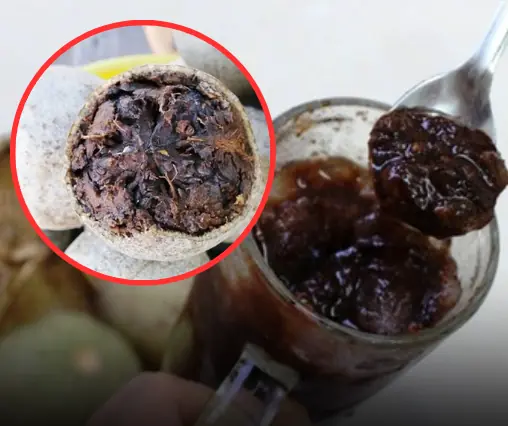 ผลไม้ที่ทั่วโลกฮือฮา ดีกว่าถั่งเช่าและโสม แต่คนไทยไม่ค่อยรู้จัก