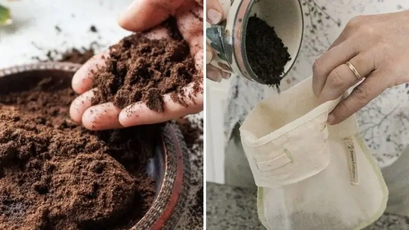 กากกาแฟเททิ้งก็เหมือนโยนเงินทิ้ง! ประโยชน์ของกากกาแฟเหล่านี้ ทุกบ้านควรรู้และนำไปใช้