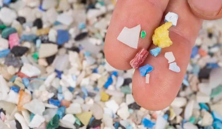 3 อาหารใกล้ตัวที่พบว่าเต็มไปด้วยไม.โคร.พลา.สติก คนส่วนใหญ่ยังคงรับประทานทุกวันโดยไม่รู้ตั