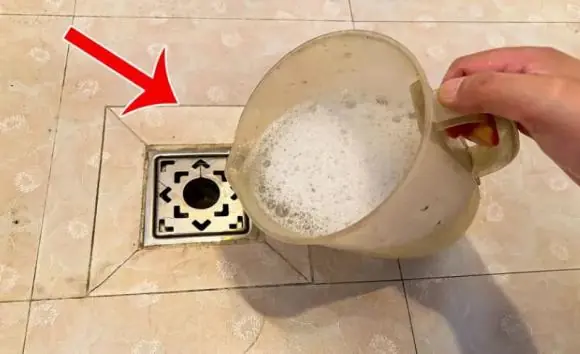 แมลงบินตัวเล็ก ๆ ในห้องน้ำ? เคล็ดลับกำจัดได้ในครั้งเดียว พร้อมขจัดกลิ่นเหม็นอย่างได้ผล