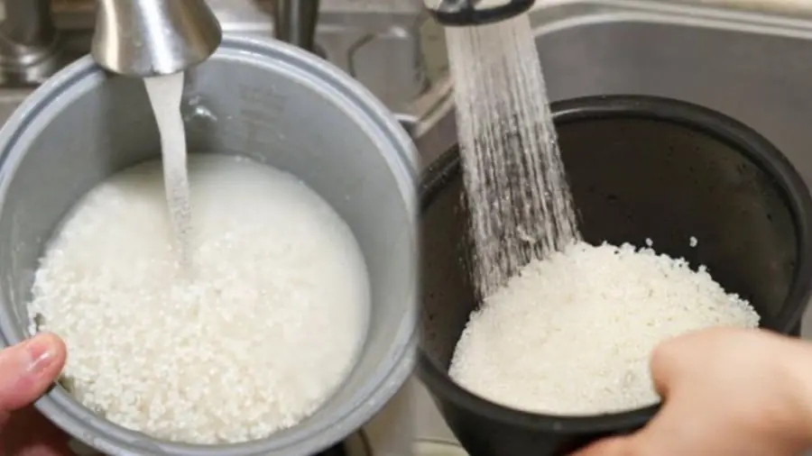 ทำไมไม่ควรล้างข้าวในหม้อหุงข้าวไฟฟ้า? หลายคนทำผิดโดยไม่รู้