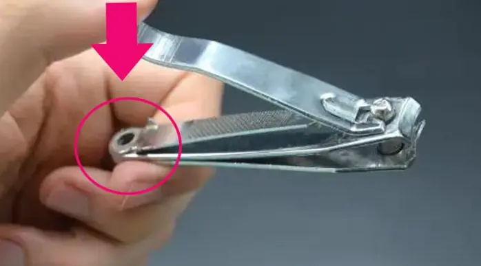 รูวงกลมเล็ก ๆ ที่ปลายที่ตัดเล็บ – หลายคนใช้มาตลอดชีวิตแต่ไม่เคยรู้เลยว่ามันมี “ประโยชน์พ