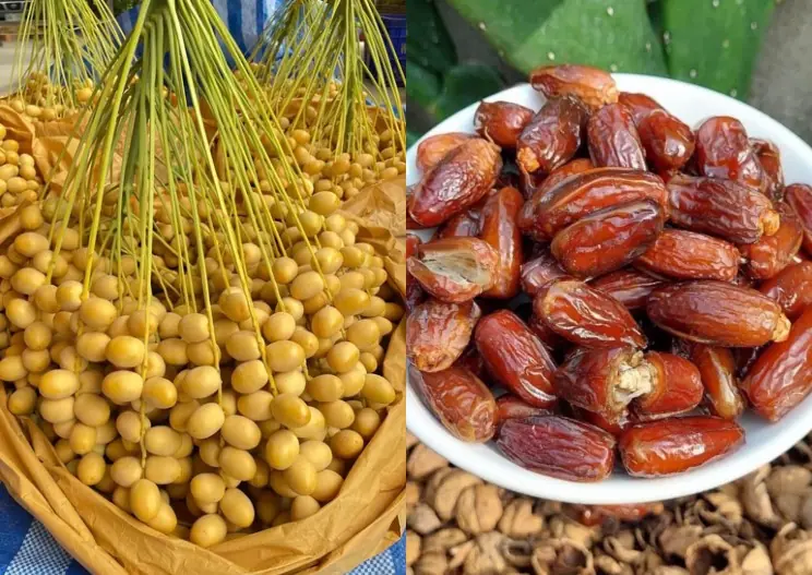 ผลไม้สุดแปลก...กัดแนวยาวหวาน กัดแนวขวางฝาด สรรพคุณวิเ.ศษม.ะ.เ.ร็.งกลัว-เบ.าห.วานเกรง