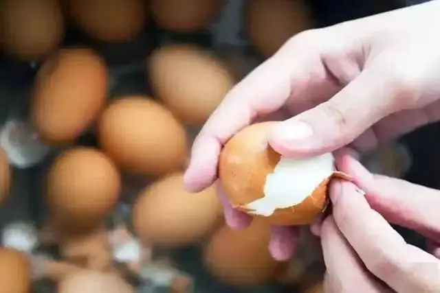 คนที่กินไข่เป็นประจำในมื้อเช้า หลังผ่านไป 6 เดือน ร่างกายจะมี 6 การเปลี่ยนแปลงที่เห็นได้ชั