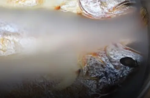 แช่ปลาในน้ำแบบนี้ กลิ่นคาวหายเกลี้ยง เนื้อหวานอร่อยและมีประโยชน์เพิ่ม 3 เท่า!