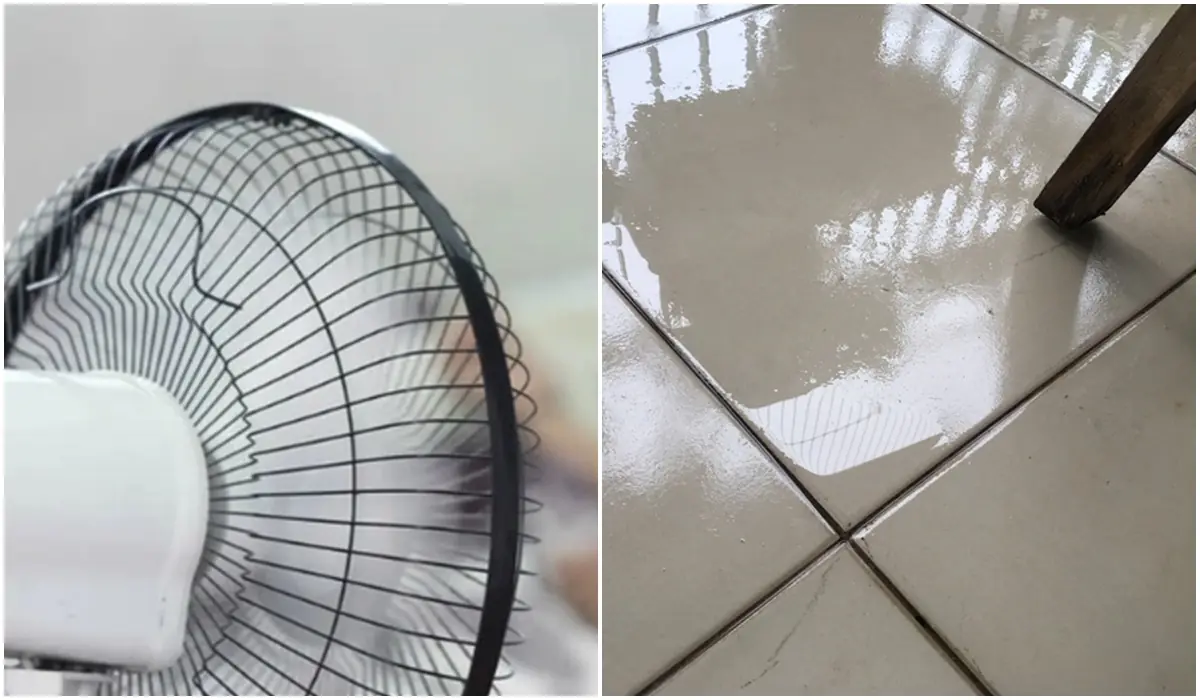 อากาศชื้นอย่าเพิ่งเปิดพัดลม! ลองทำตาม 5 วิธีนี้ บ้านจะแห้งสนิทภายใน 10 นาที — ไม่ต้องเสียเงิน