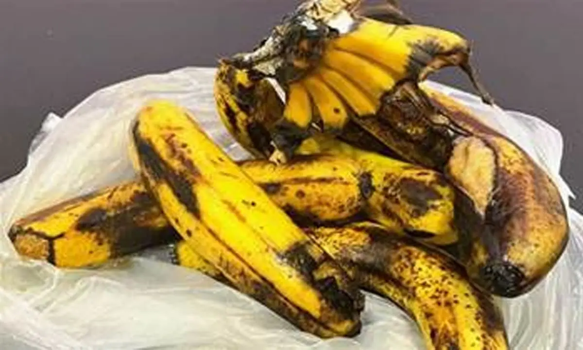 กล้วยสุกงอมจนดำอย่าเพิ่งทิ้ง! แค่ทำตามวิธีนี้ ยิ่งงอมยิ่งมีค่า ประโยชน์มากกว่าที่คิด
