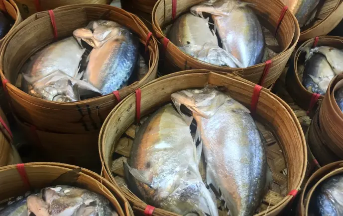 3 ส่วนของเนื้อปลา ที่มักสะสมโลหะหนักมากที่สุด ผู้เชี่ยวชาญเตือน หลายคนชอบกินโดยไม่รู้ตัว