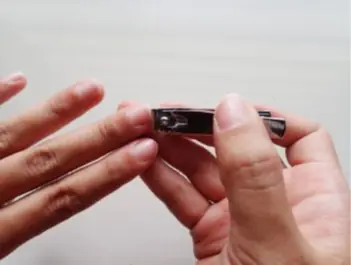 รู้แล้วบอกต่อ "ตัดเล็บบ่อยเกินไป" อาจเป็นการทำ.ร้ายสุข.ภาพโดยไม่รู้ตัว