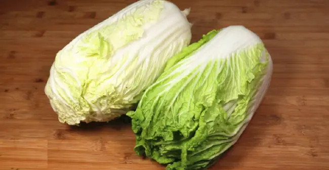 ปรากฏว่า “ผักกาดขาวใบเขียว” กับ “ผักกาดขาวใบเหลือง” มีความแตกต่างกันมาก รู้ไว้จะได้เลือก