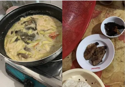 สะใภ้ตั้งครรภ์ 8 เดือน อวดถาดอาหารจากแม่สามี ใครเห็นก็ผวา รู้เบื้องหลังยิ่งน่าเวทนา...