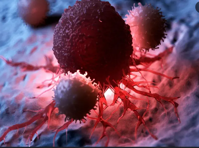 5 พฤติกรรมตอนเช้าที่ “ห้ามทำเด็ดขาด”! ถ้าไม่อยากให้เซลล์มะเร็งโตเร็วเหมือนติดเทอร์โบ