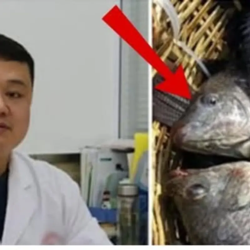 6 ประเภทของปลาที่ ไม่ควรซื้อกินเด็ดขาด แม้ว่าราคาจะถูกแค่ไหนก็ตาม แม้แต่แพทย์ยังเตือนให้