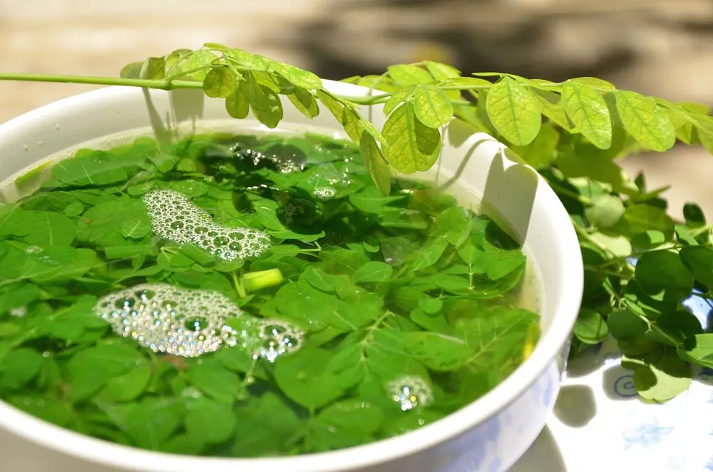 ผักชนิดหนึ่งที่ช่วยทำลายเซลล์มะ.เร็.งได้ แต่คนไทยส่วนใหญ่กลับคิดว่าเป็นแค่ “วัชพืชข้างท